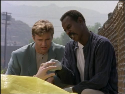 Жара в Лос Анджелесе (1996)