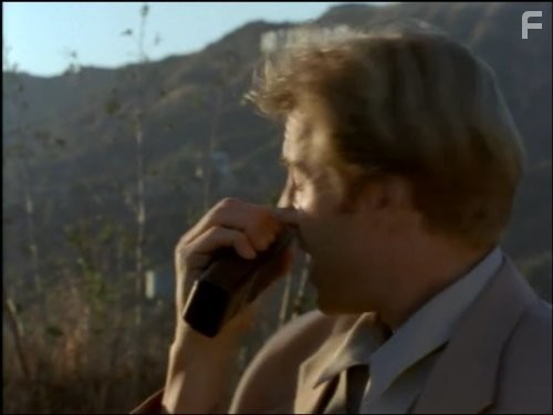 Жара в Лос Анджелесе (1996)