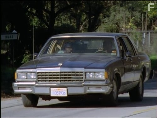 Жара в Лос Анджелесе (1996)