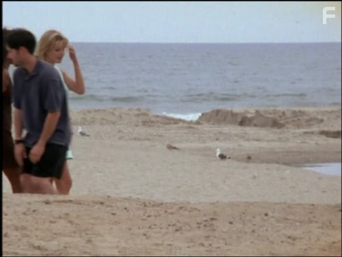 Жара в Лос Анджелесе (1996)