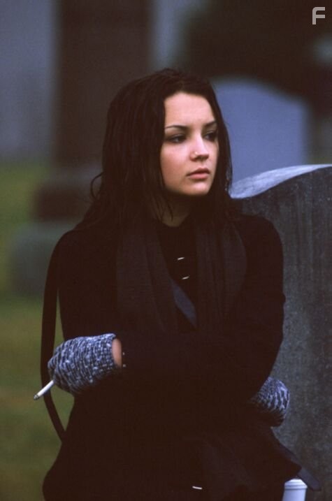 Rachael Leigh Cook co-stars