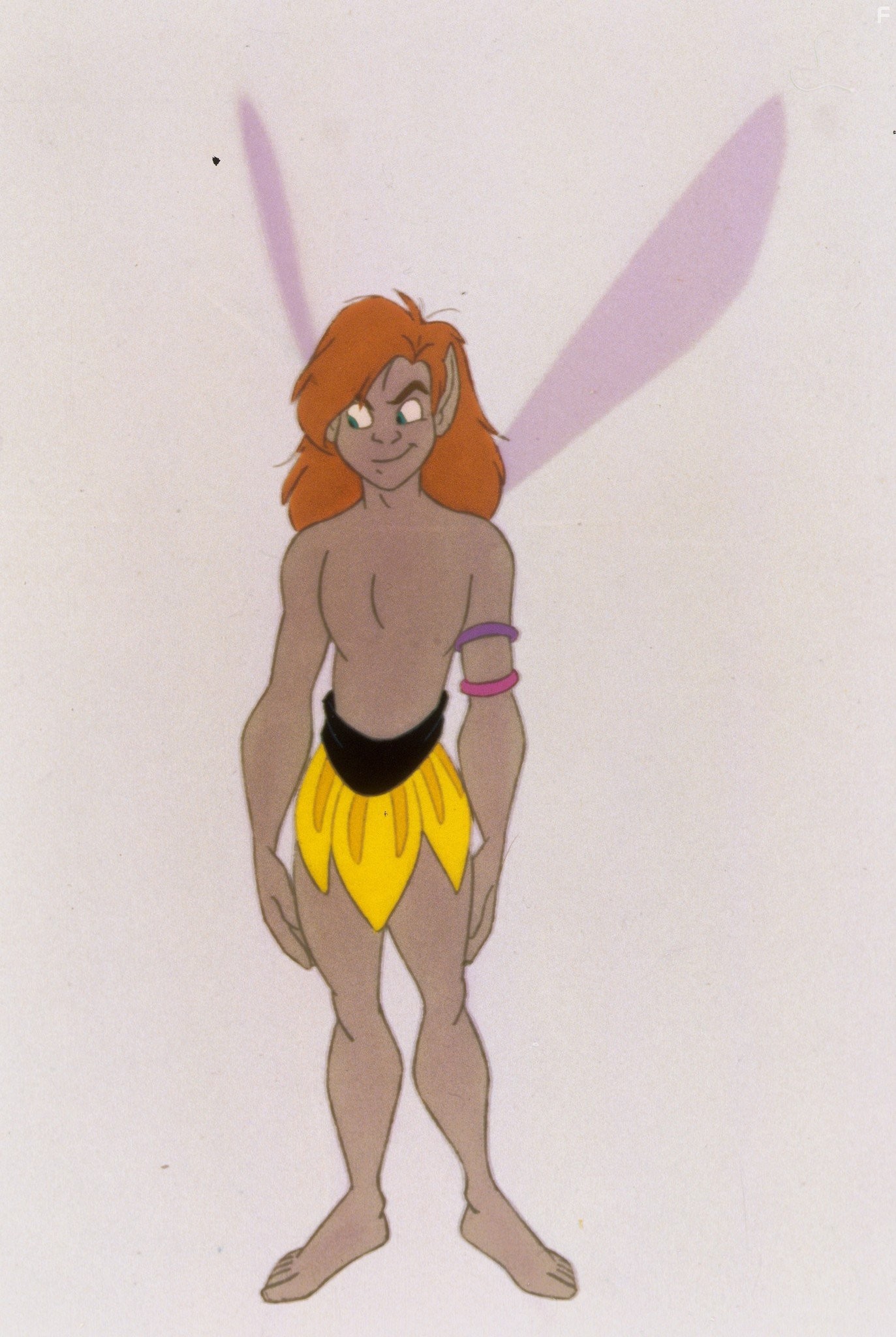 Долина папоротников: Последний тропический лес (1992)