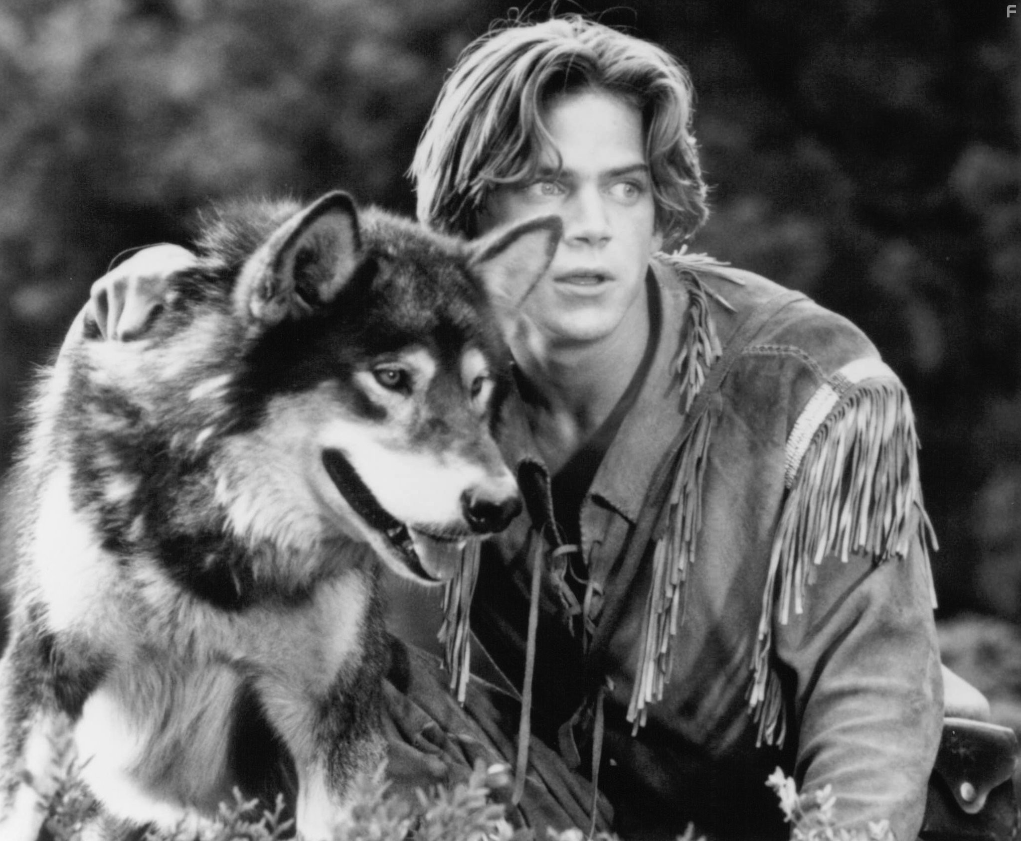 Scott Bairstow and Jed in Белый клык 2: Легенда о белом волке (1994)