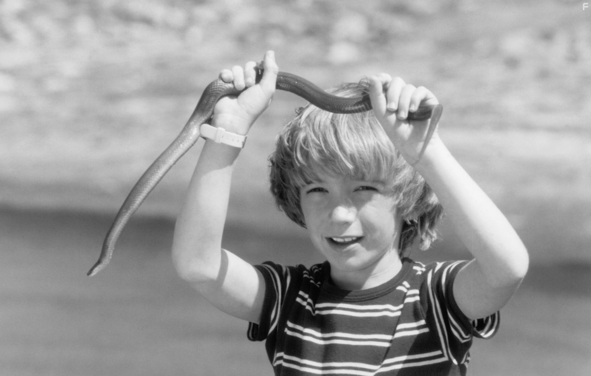 Liam Aiken in Я мечтала об Африке (2000)