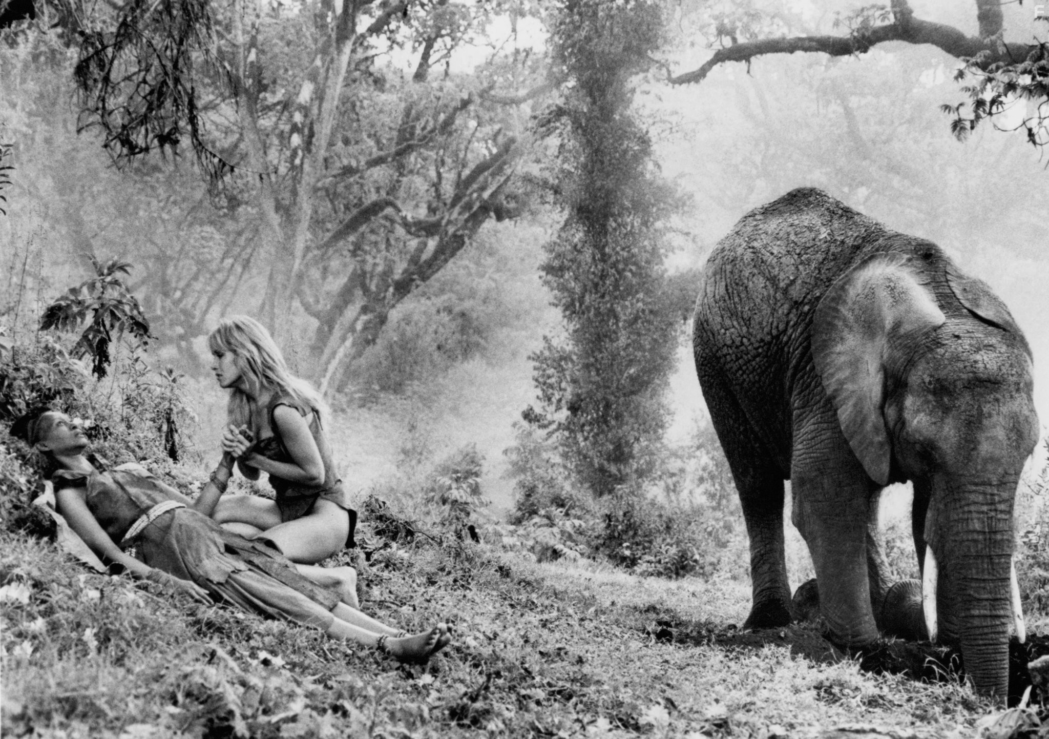 Tanya Roberts and Elizabeth of Toro in Шина - королева джунглей (1984)