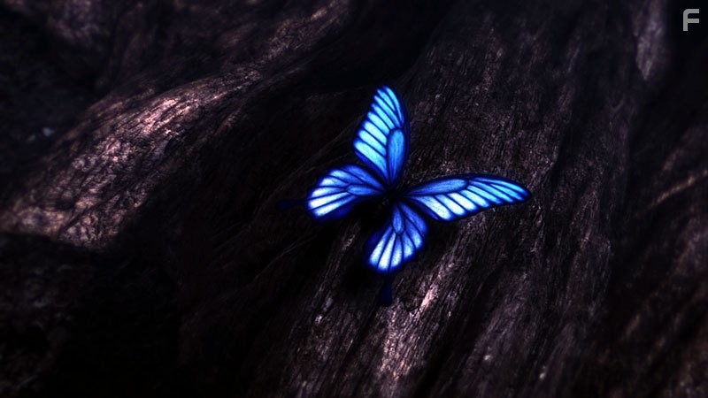 Эпоха дракона: Рождение Искательницы (2012)