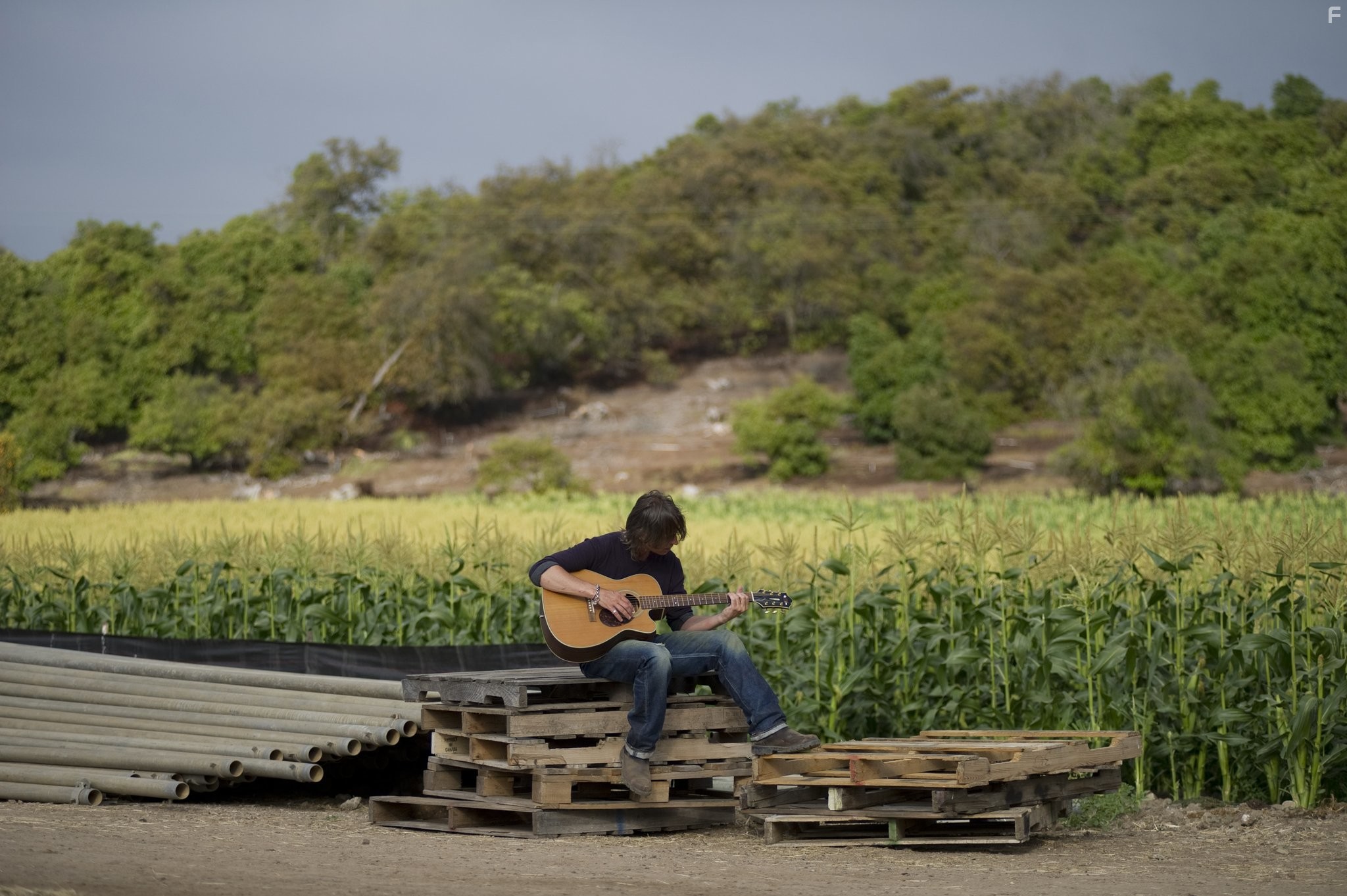 Robert Carlyle in California Solo (2012)