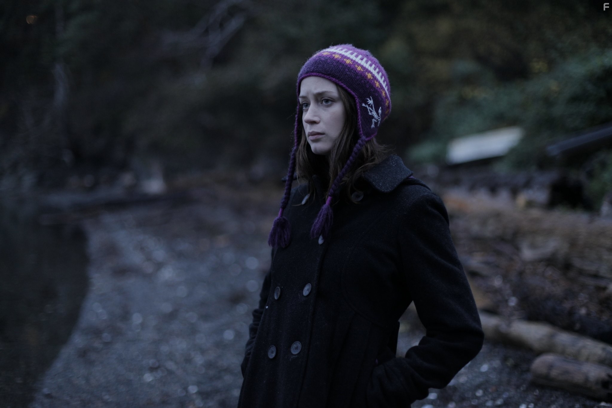 Emily Blunt in Сестра твоей сестры (2011)