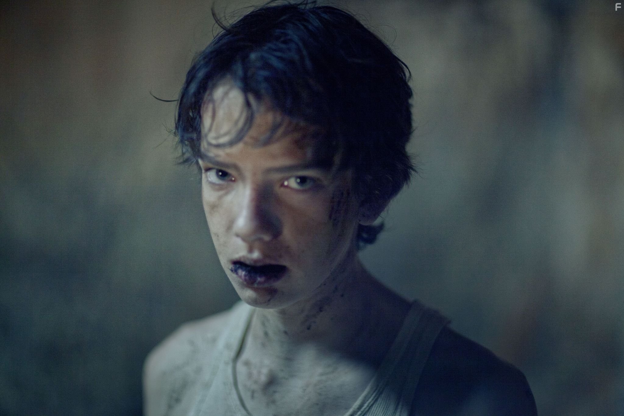 Мертвая Европа