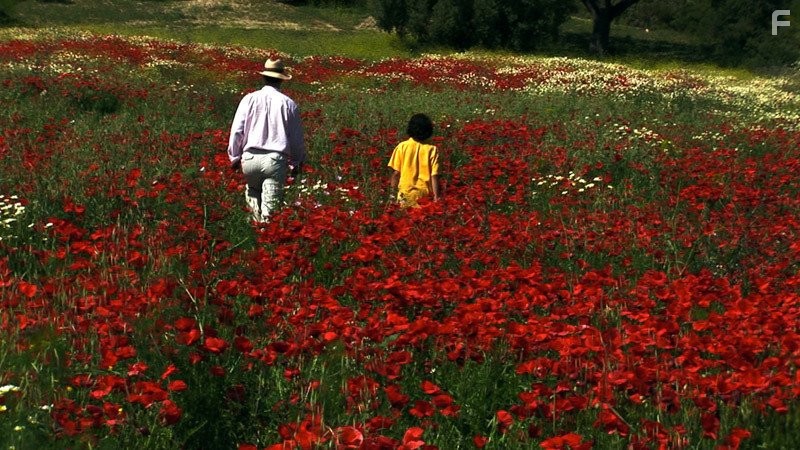 En tu ausencia (2008)