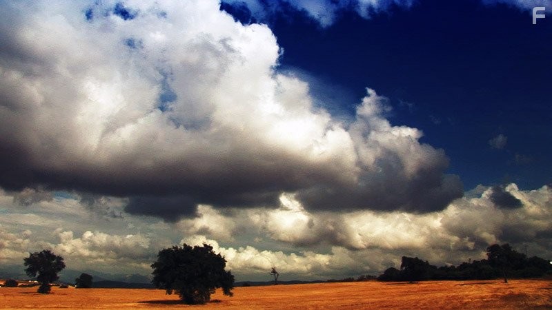 En tu ausencia (2008)