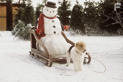 Chester pulls Jack to a hockey game