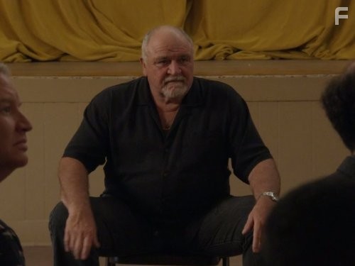 В норме (2013)