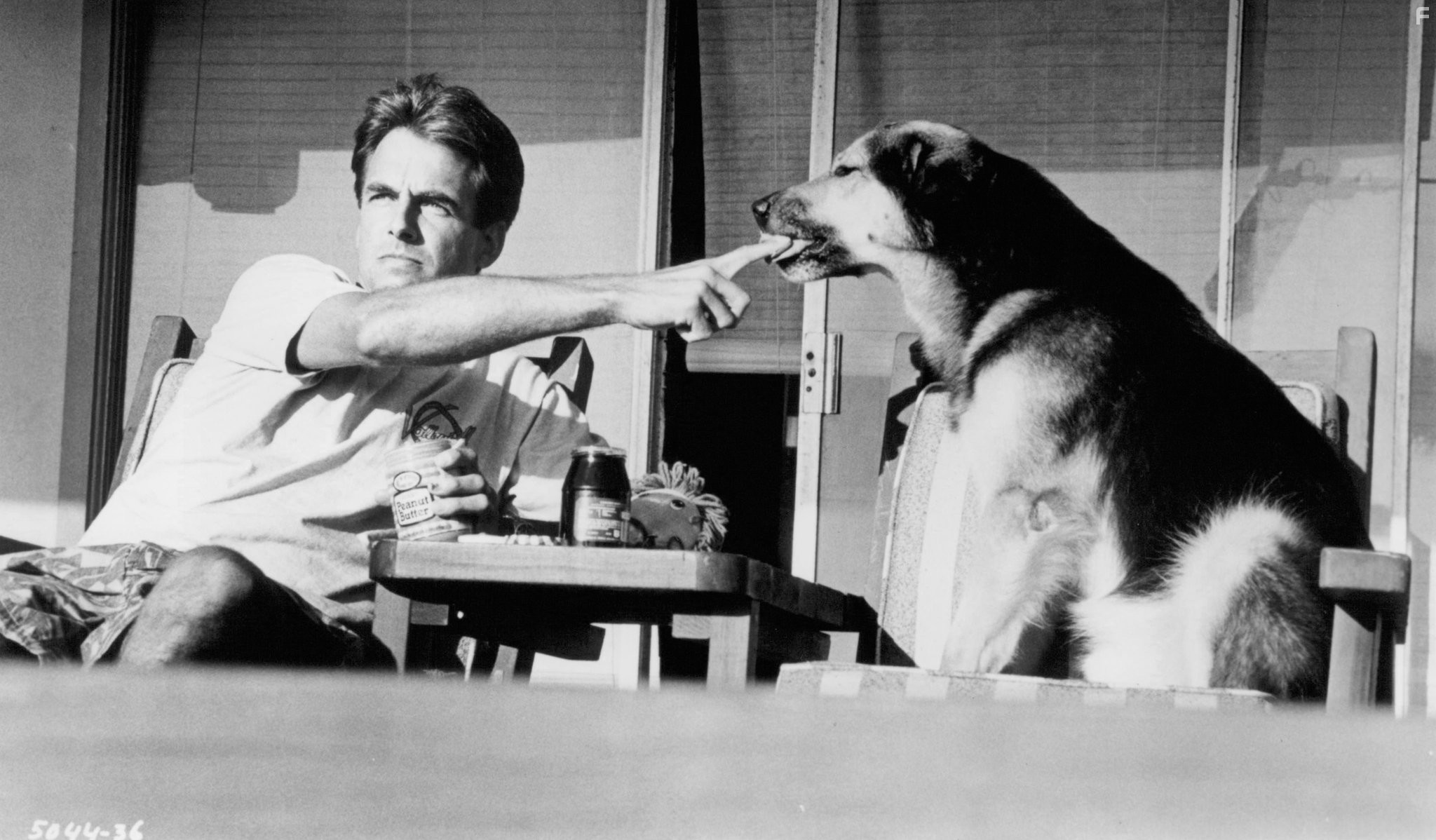 Летняя школа (1987)