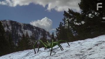 Ледяные пауки (2007)