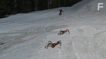 Ледяные пауки (2007)