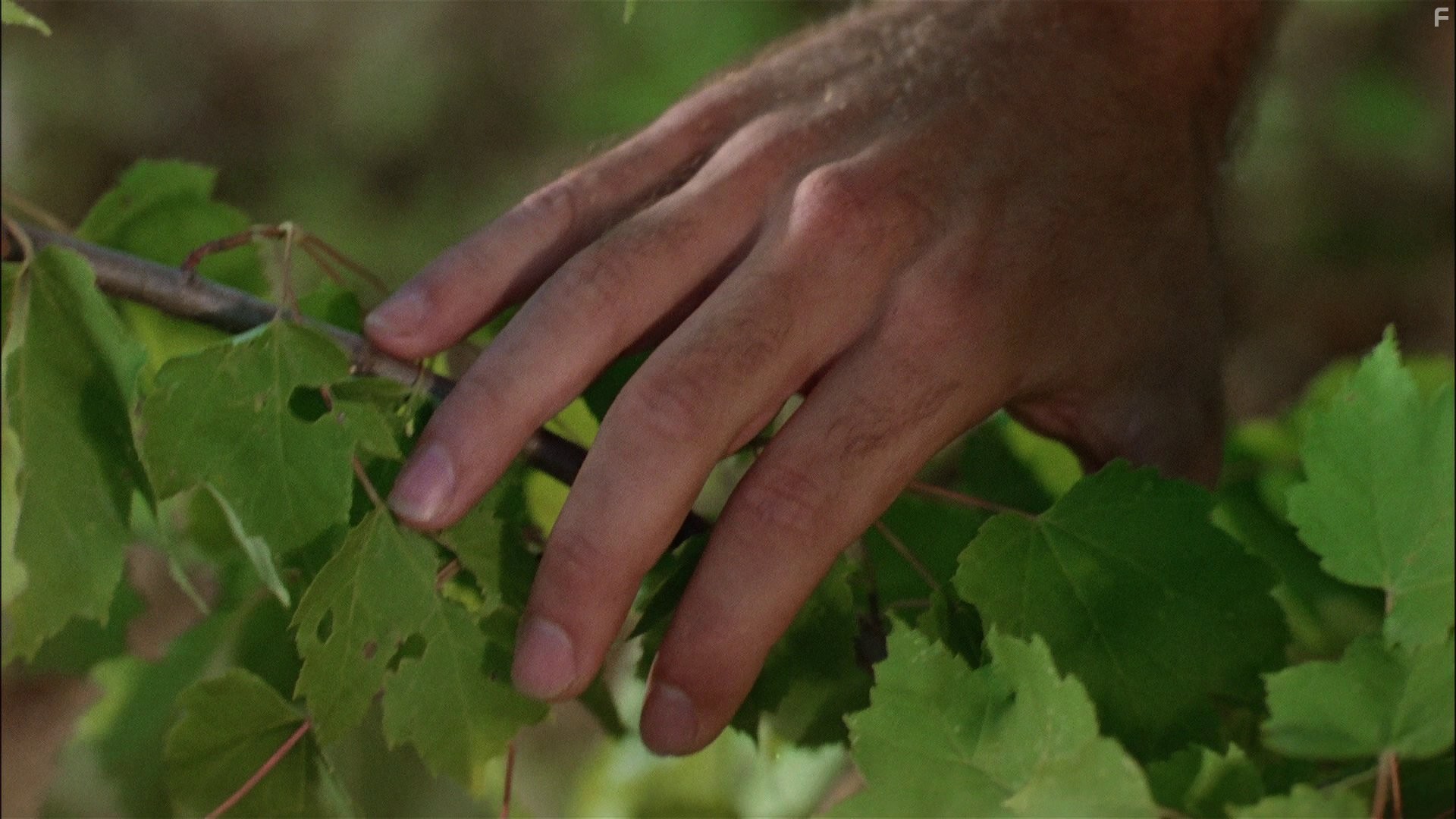 Russell Todd in Пятница 13 - Часть 2 (1981)