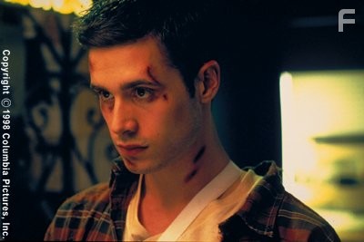 Freddie Prinze Jr. stars as Ray Bronson