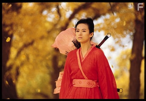 Ziyi Zhang in Герой (2002)