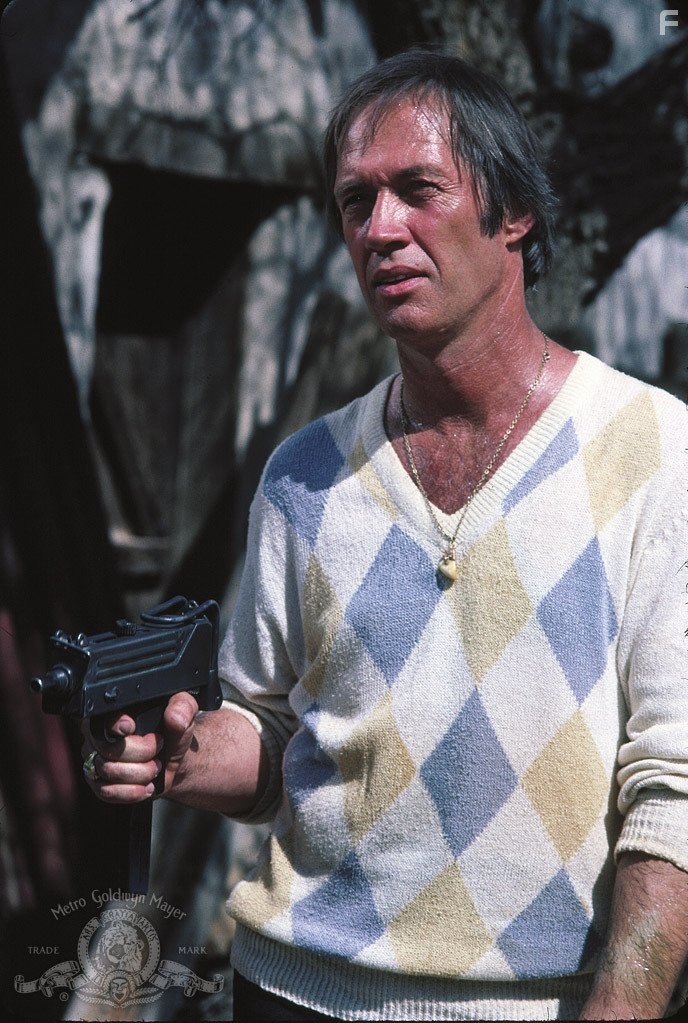 David Carradine in Одинокий волк МакКуэйд (1983)