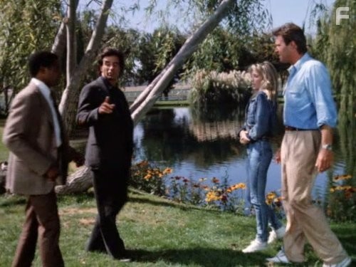 Heather Locklear and John James in Династия (1981)