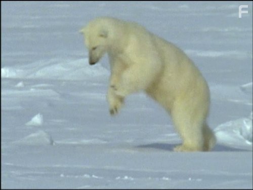 Голубая планета (2001)