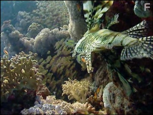 Голубая планета (2001)