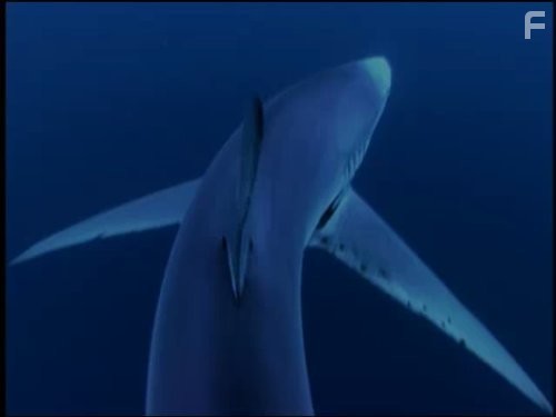 Голубая планета (2001)