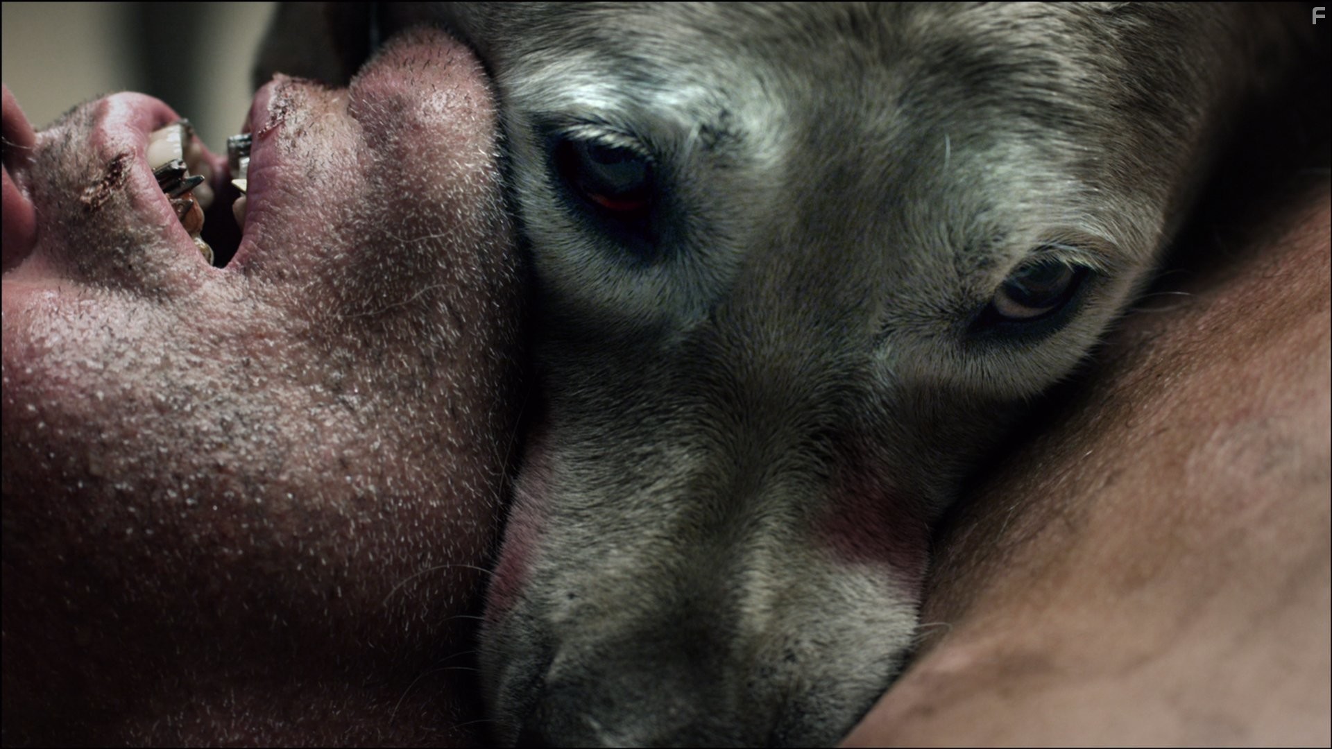 Азбука смерти (2012)