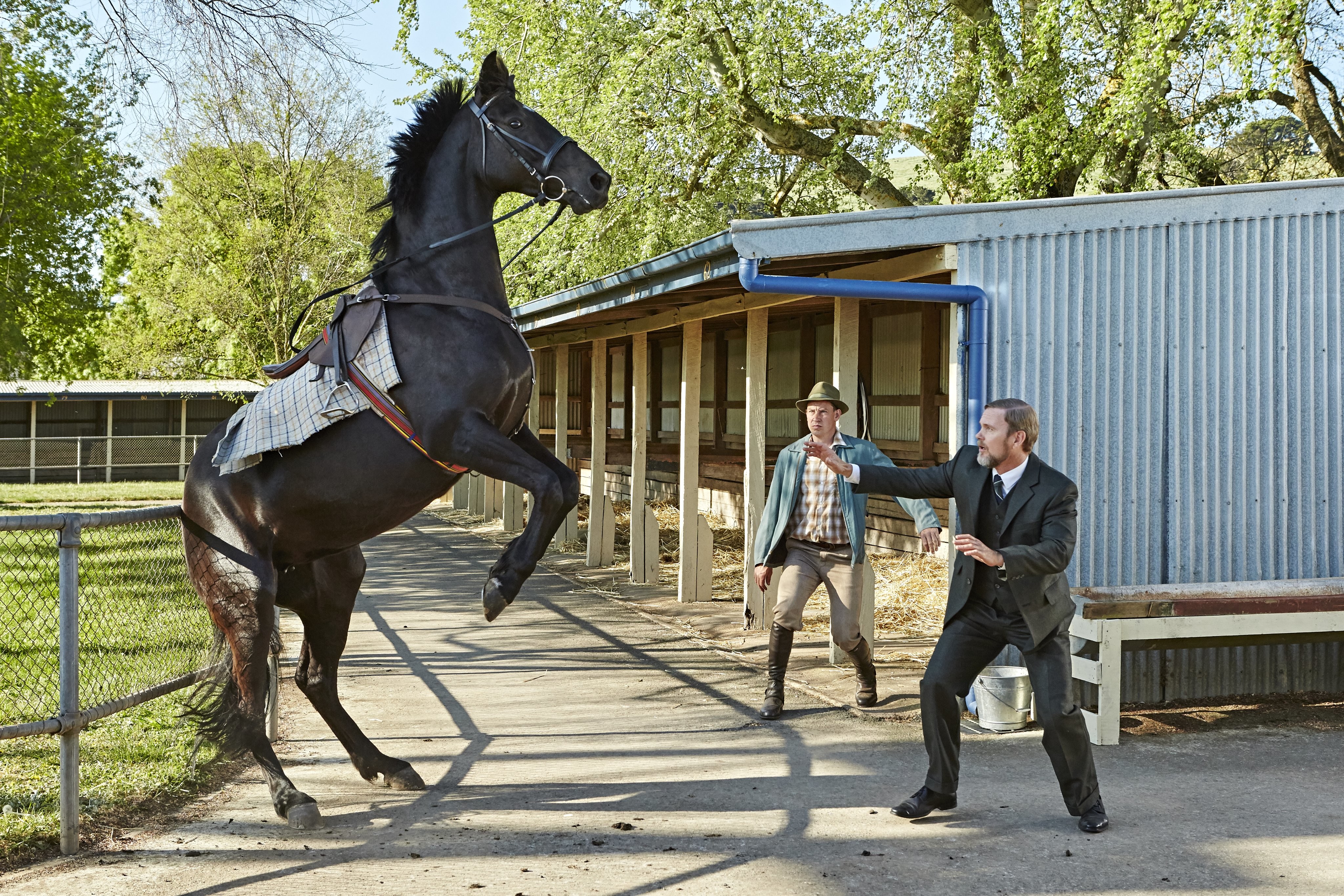 Craig McLachlan in Доктор Блейк (2013)