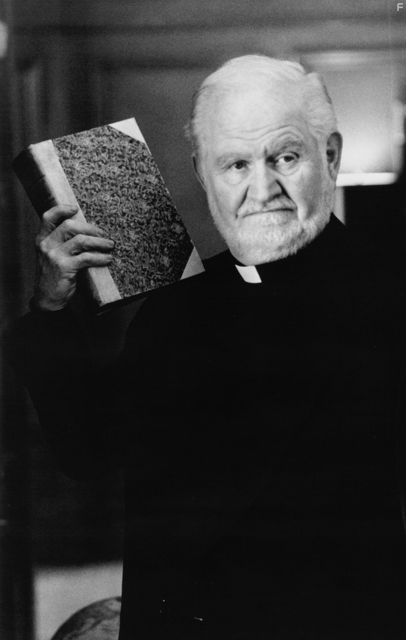 Robert Prosky in Руди (1993)