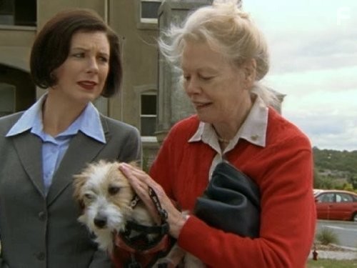 Wicked Science (2004)