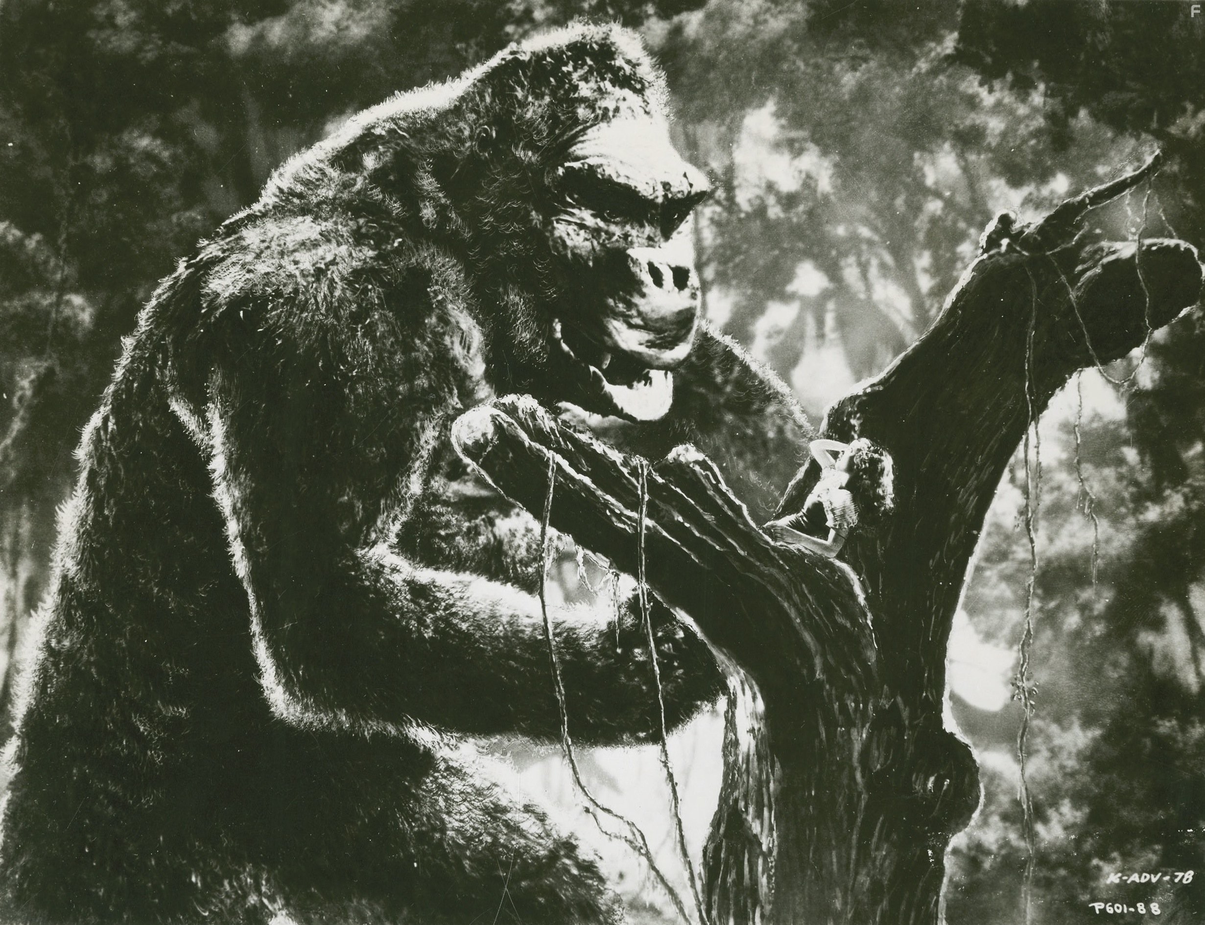 Fay Wray and King Kong in Кинг Конг (1933)