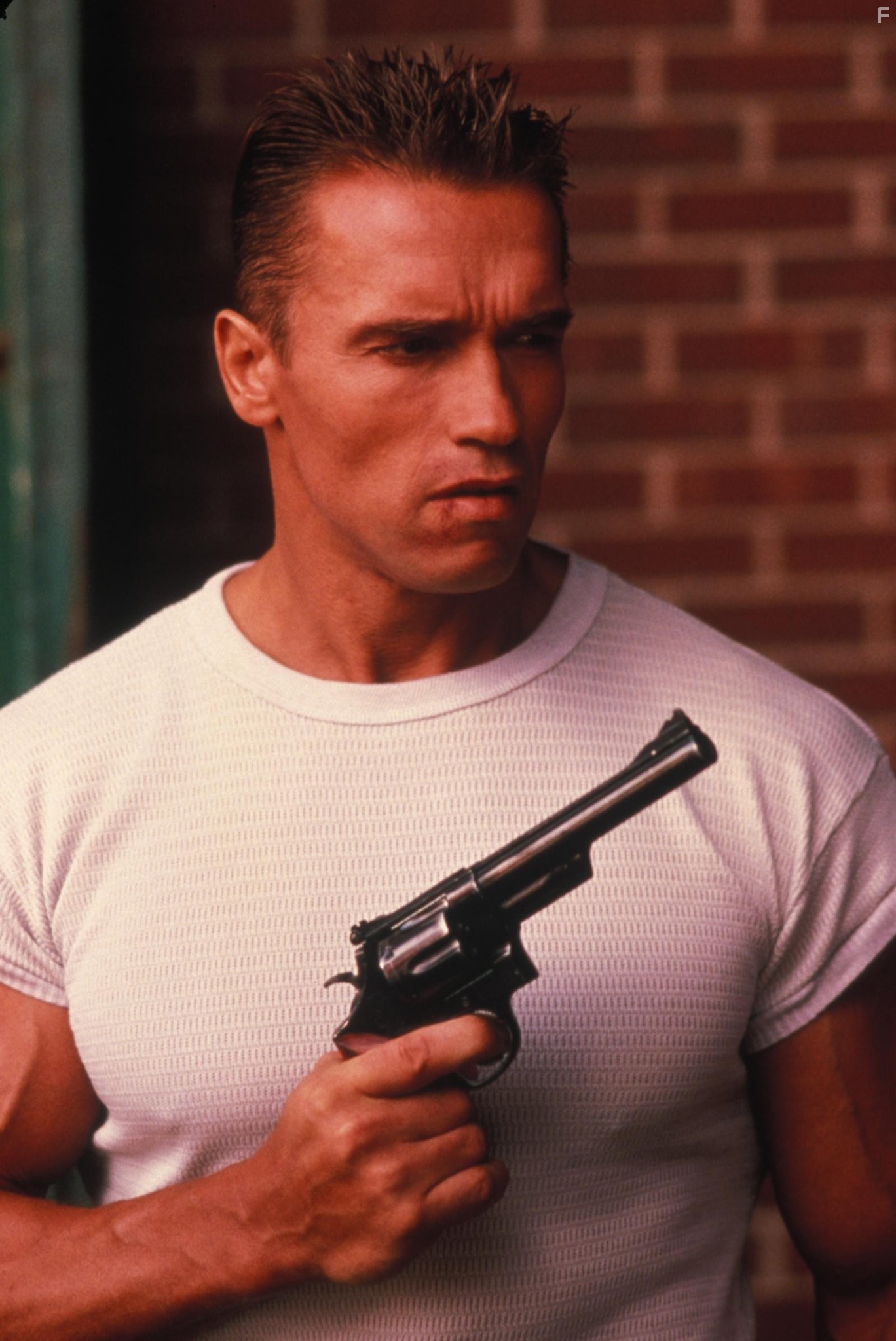 Arnold Schwarzenegger in Красная жара (1988)