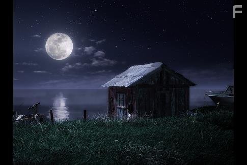 Мухнём на Луну (2008)