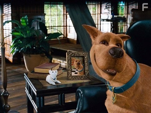 SCOOBY-DOO in Warner Bros. Pictures' live-action comedy "Scooby-Doo."