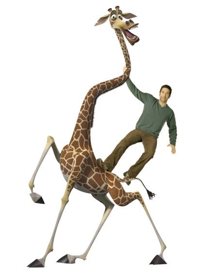 David Schwimmer in Мадагаскар 2 (2008)