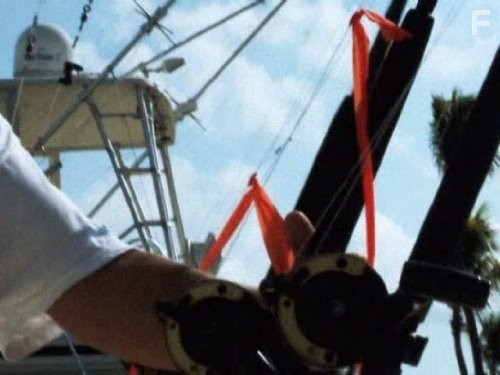 Underwater Universe (2011)