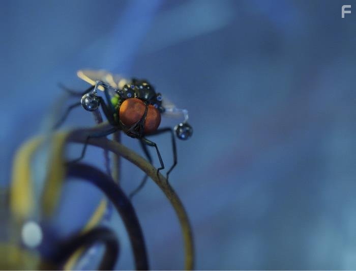 Миссия Дарвина (2009)