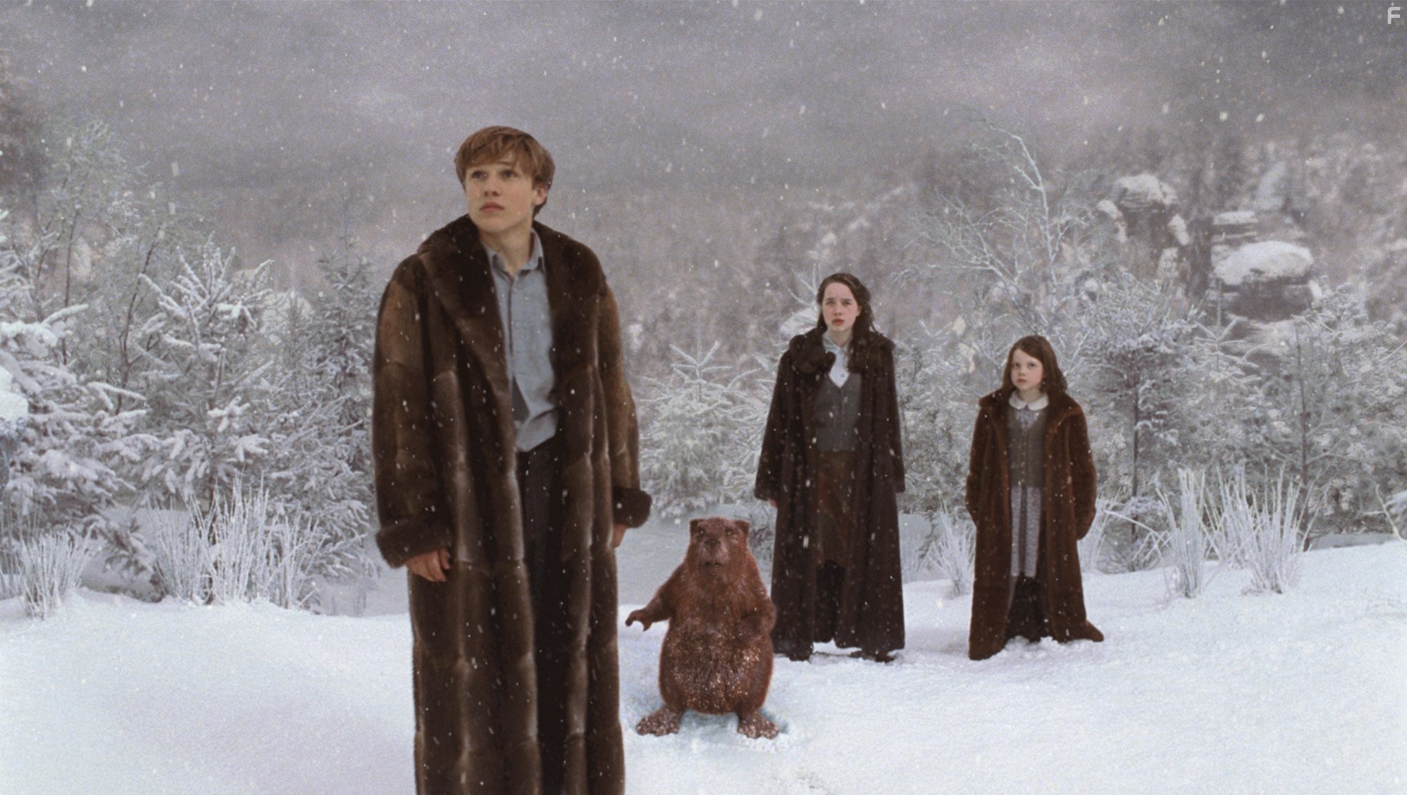 William Moseley, Anna Popplewell, Ray Winstone, and Georgie Henley in Хроники Нарнии: Лев, Колдунья и волшебный шкаф (2005)