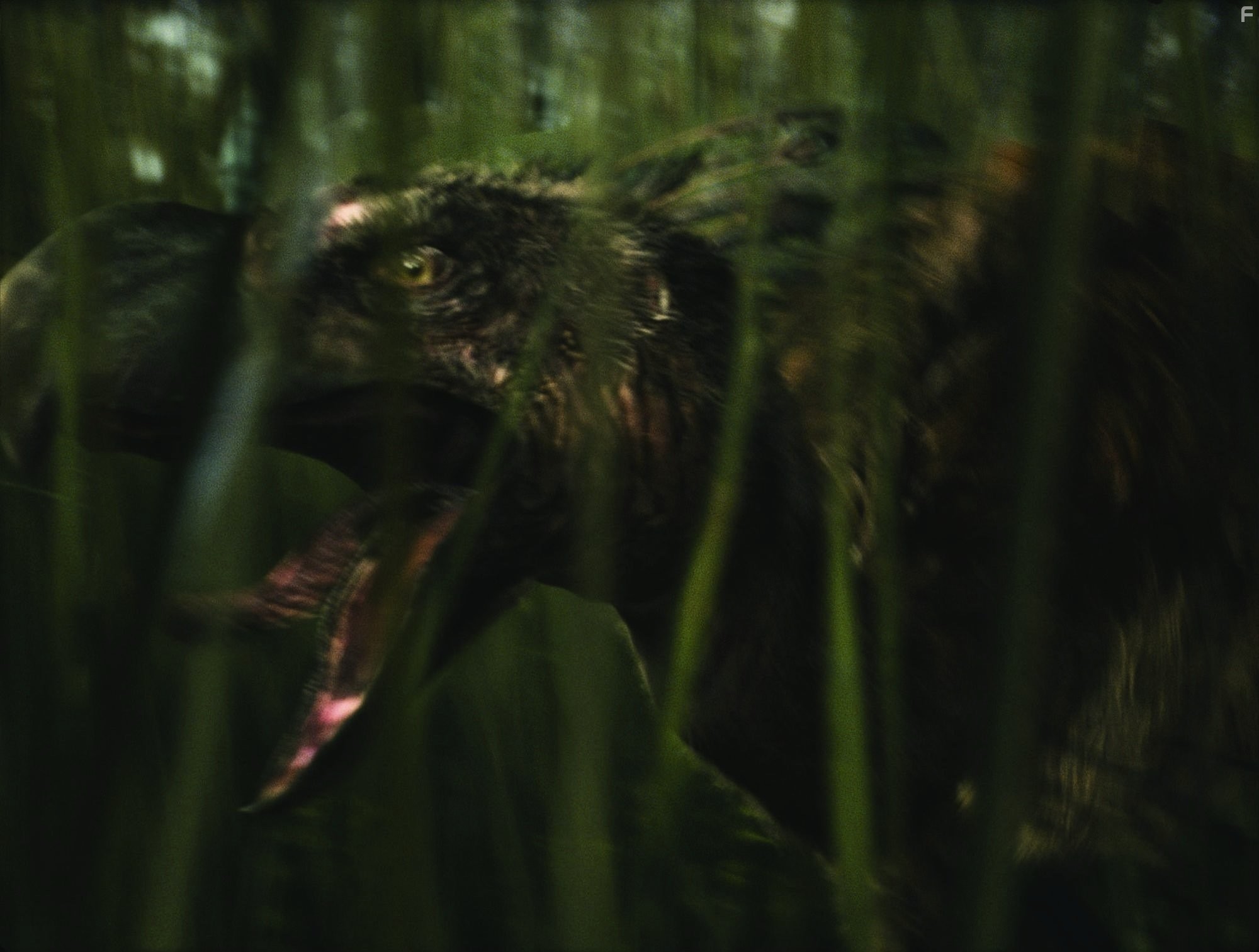 10 000 лет до н.э. (2008)