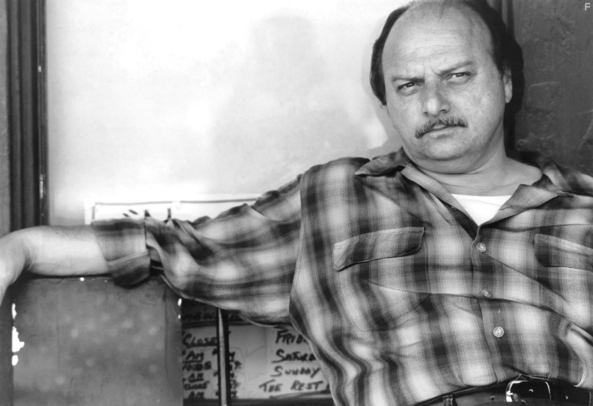 Американский бизон (1996)