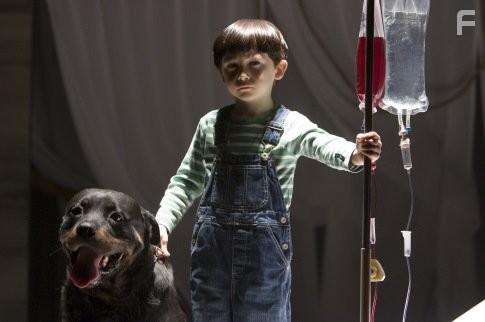 Seamus Davey-Fitzpatrick in Омен (2006)