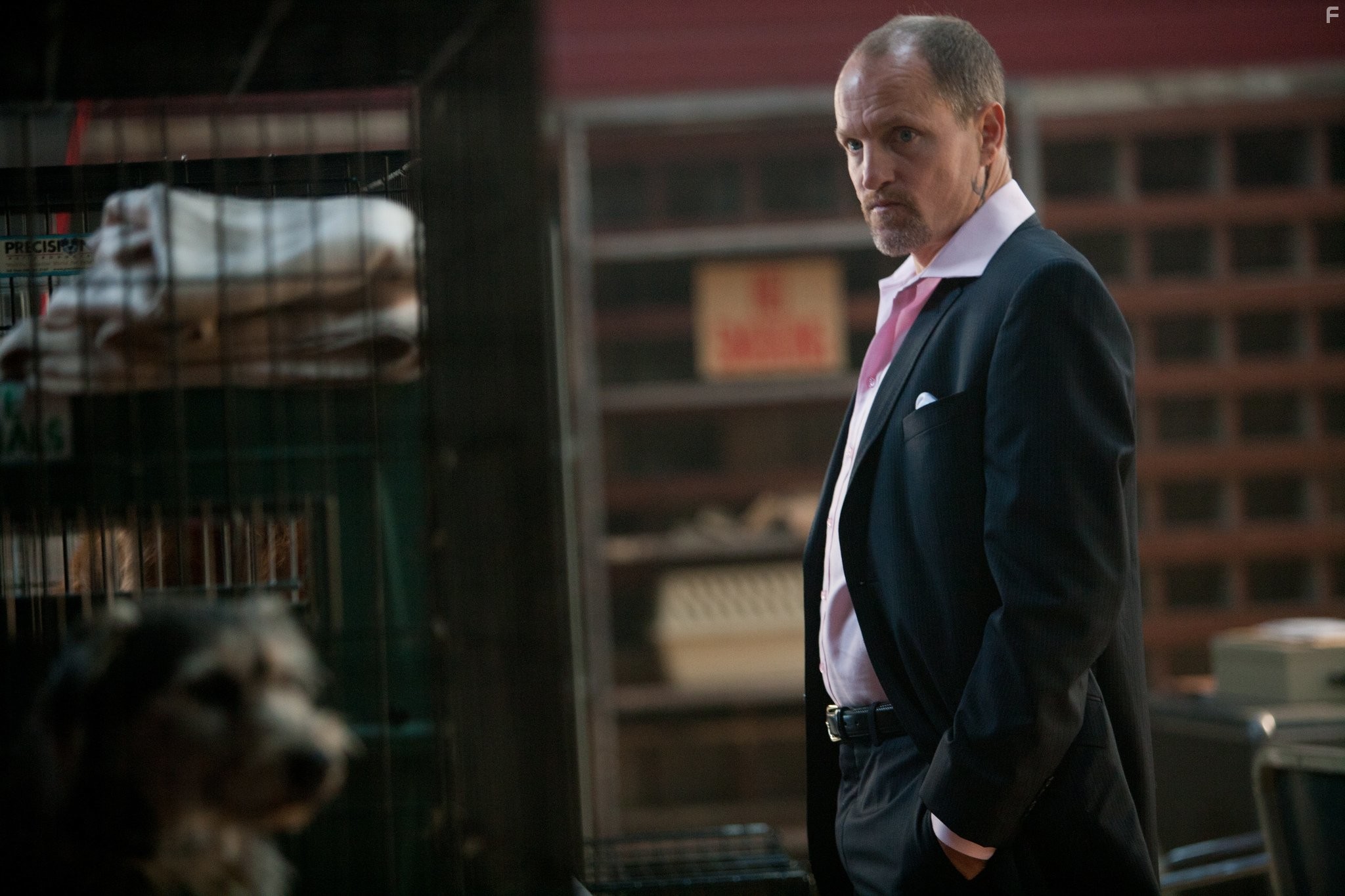 Woody Harrelson in 7 Психопатов (2012)