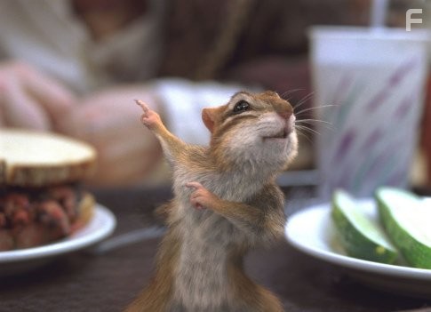 Зачарованная (2007)