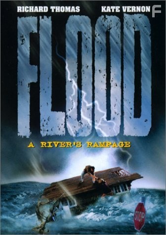Flood: A River's Rampage (1998)