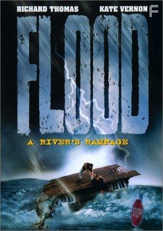 Flood: A River's Rampage (1998)