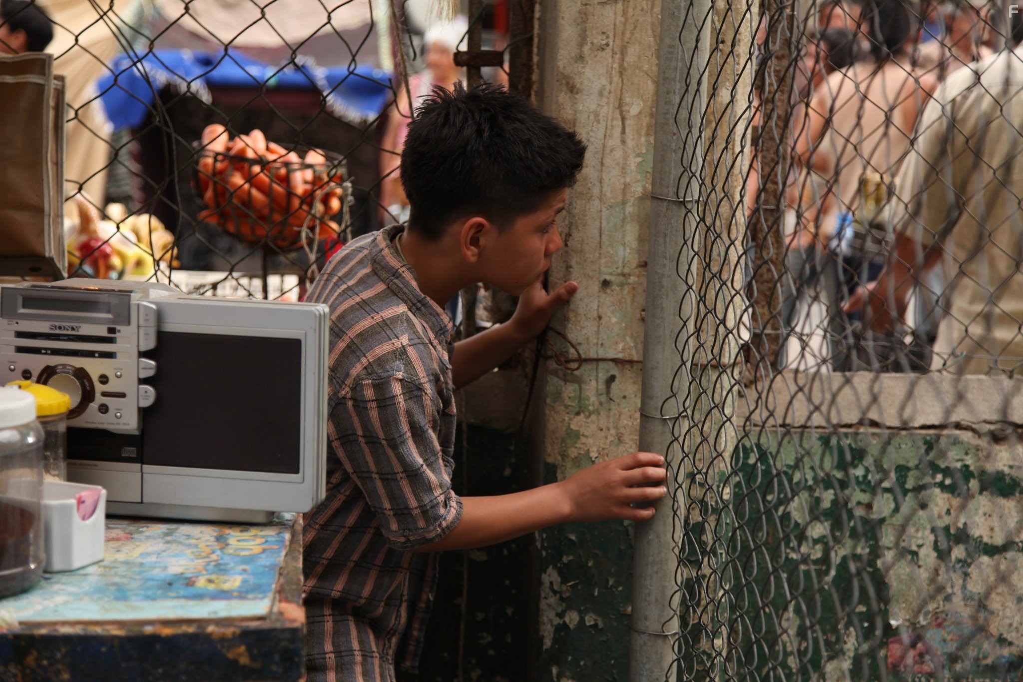 Kevin Hernandez in 'Весёлые' каникулы (2012)