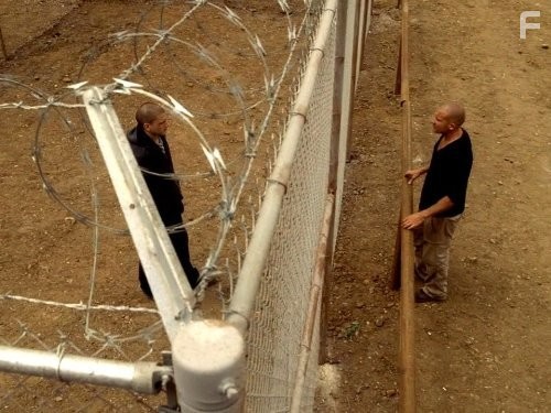 Wentworth Miller and Dominic Purcell in Побег (2005)