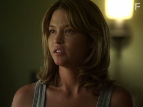 Nicki Aycox in Под прикрытием (2009)